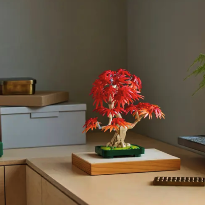 Image for choice number 16