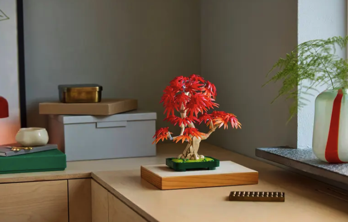 bonsai-1